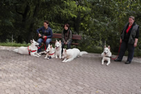 eine kleine Pause, Coralie,Keona,Dash,Vinia & Elli